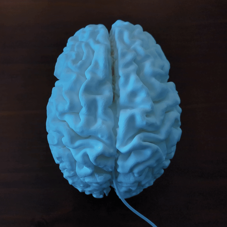 Brain Lamp — Artistic Lighting Inspired by Human Anatomy