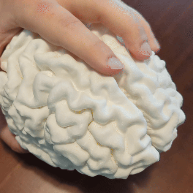 Brain Lamp — Artistic Lighting Inspired by Human Anatomy