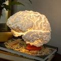 Brain-shaped lamp on a stack of books with a plant in the background