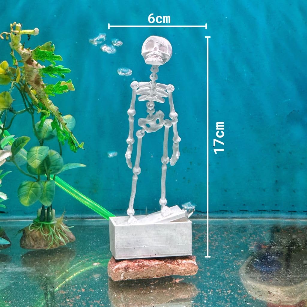 A clear acrylic skeleton fish tank ornament standing on a silver metal base with a small rock, shown in an aquarium setting with size annotations of 6cm width, 17cm height, and 5cm depth. A green plant is visible on the left.